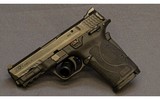 Smith & Wesson~M&P 9 Shield EZ~9 mm