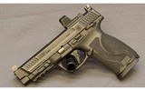 Smith & Wesson M&P 10 10 mm