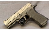 SIG Sauer/Zev~P320~9 mm - 1 of 2