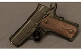 Para USA~Expert Carry~45 ACP - 1 of 2