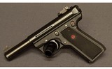 Ruger~22/45 Mk III~22 Long Rifle