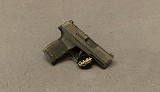 SIG SAUER~P365~9MM - 1 of 2