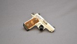 KIMBER~MICRO 9 RAPTOR~9MM