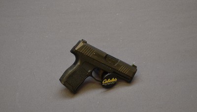 SIG SAUER~P365~9MM - Image 1 of 2