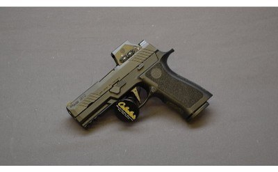 SIG SAUER~M18 PRO LE~9MM - Image 2 of 2