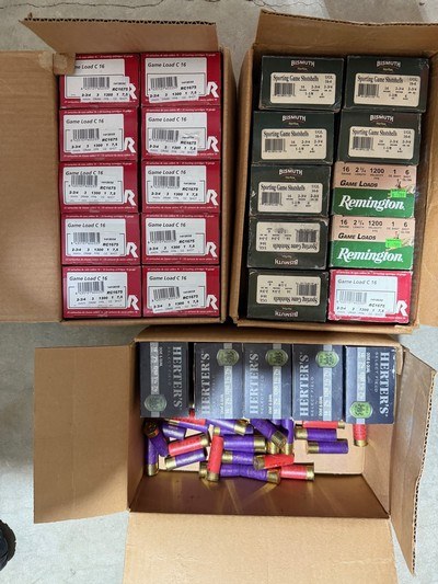 16 Gauge Shotshells: Lead and Bismuth