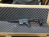 SMITH & WESSON
M&P
15
22LR
WITH
SBA3
BRACE - 1 of 9