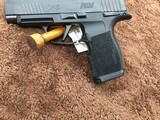 SIG P365XLNIB - 7 of 12