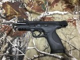SMITH WESSON
M&P 40
WITH NITE SITES - 10 of 12