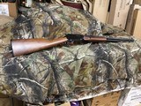NIB HENRY 22 MAG Pump Rifle , Octagon Barrel - 1 of 18
