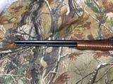 NIB HENRY 22 MAG Pump Rifle , Octagon Barrel - 5 of 18