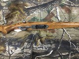 Ruger All Weather 77/22 Hornet 24” - 14 of 16