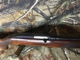 WINCHESTER 100INTHE 284 CALIBER - 11 of 16