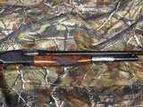 WINCHESTER MODEL 12 - 7 of 16