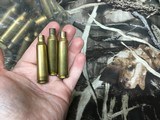 22-250 Remington Once Fired Brass………..100+ Rounds - 2 of 3
