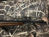 WINCHESTER70SUPER EXPRESS458 WIN MAG.....BEUTIFUL WOOD - 6 of 18