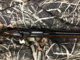 WINCHESTER70SUPER EXPRESS458 WIN MAG.....BEUTIFUL WOOD - 13 of 18