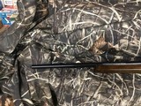 WINCHESTER70SUPER EXPRESS458 WIN MAG.....BEUTIFUL WOOD - 9 of 18