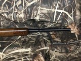 WINCHESTER70SUPER EXPRESS458 WIN MAG.....BEUTIFUL WOOD - 18 of 18