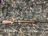 TIKKA
T3
270
TWO WOOD STOCKS - 2 of 24