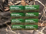 Remington, Winchester, Hornady 204 Ruger Ammo - 2 of 4