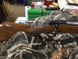 WINCHESTER MODEL 70
25-06 - 16 of 23
