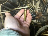 .223 Unprimed Brass 950+ Rounds - 2 of 3