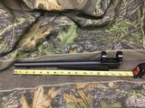 Virgin Valley 17 HMR 15