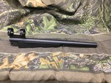 Virgin Valley 17 HMR 15