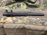 Virgin Valley 17 HMR 15