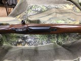 CZ 550 SAFARICLASSICS416 RIGBY - 16 of 19