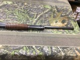 WINCHESTER MODEL 12
BORN 1917
16 GAUGE - 14 of 18