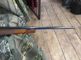 WEATHERBY VANGUARD243MADE IN JAPAN - 8 of 23