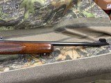 Winchester Model 100
Pre-64 .308 - 10 of 20