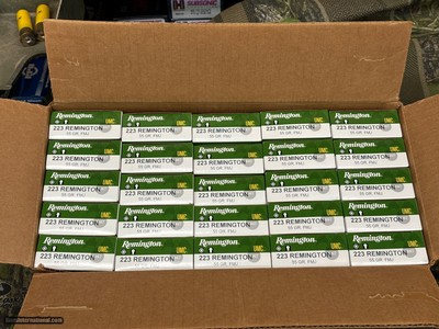 Remington .223 55 GR  FMJ Ammo.....500 Rounds
