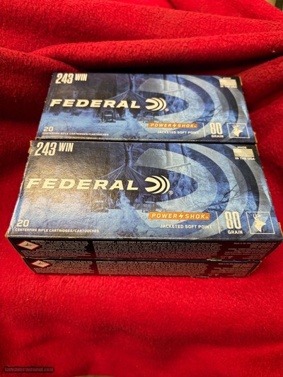 Federal 243 Winchester 80 gr Jacketed Soft Point.......80 rounds