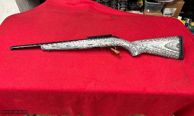 Ruger American 22 LR Target 18