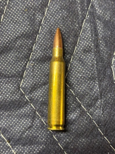 Precision One Ammo 223 Rem 55 gr Brass Case Target Ammo.....500 Rounds - Image 7 of 8