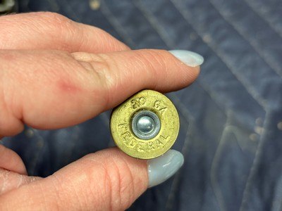 Lot of Hevi-Shot, Federal, and White Lightning 20 Gauge 3