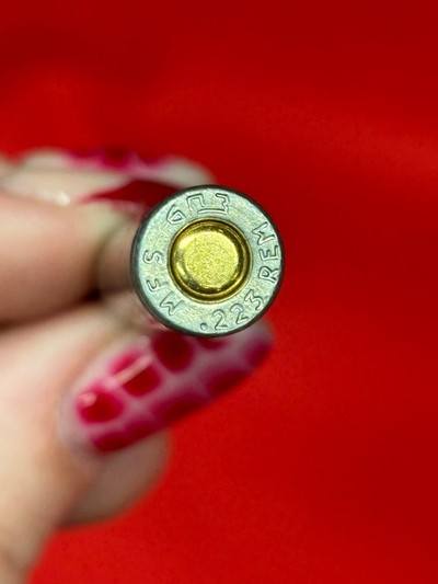 Silver Bear 223 Ammo.....420 Rounds - Image 4 of 4