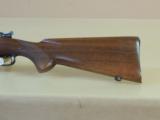 WINCHESTER PRE 64 M70 CARBINE 22 HORNET (INVENTORY#9886) - 19 of 19