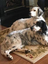 ITHACA 20 GAUGE NID - 15 of 15