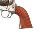 RARE COLT "BLACKPOWDER" S.A.A.
IN .455 ELEY CTG. WITH RARE WINANS FRONT SIGHT AND MEDFORD RIFLING. - 12 of 12