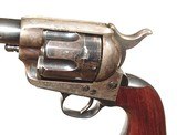 RARE COLT "BLACKPOWDER" S.A.A.
IN .455 ELEY CTG. WITH RARE WINANS FRONT SIGHT AND MEDFORD RIFLING. - 5 of 12