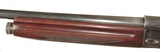 PRE-WAR BROWNING (FN) A-5 SHOTGUN - 8 of 10