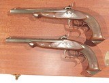 BEAUTIFUL CASED PAIR OF LEPAGE STYLE PERCUSSION TARGET OR DUELLING PISTOLS BY PEDERSOLI - 3 of 8
