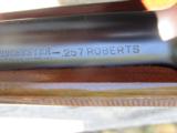 RARE Winchester 70 Super Grade CARBINE 257 Roberts - 12 of 15