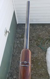 Winchester Model 70 20" Carbine 257 Roberts - 7 of 12