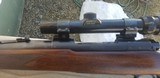 Winchester Model 70 20" Carbine 257 Roberts - 9 of 12