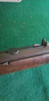 Winchester 1886 Saddle Ring 22